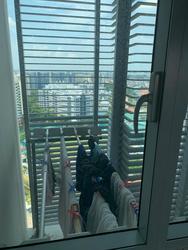The Chuan (D19), Condominium #210629021